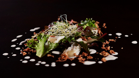 Ensalada templada de bacalao, cebolla en texturas, escabeche de manzana, brotes y emulsión de bacalao