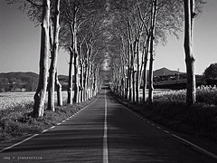 La carretera de Valldoriolf